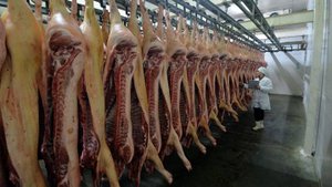 Филиппины рассчитывают на снятие ограничений для импорта российской свинины