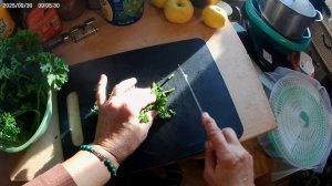 Ну вот и морозы начались.Иду в парник  за петрушкой.