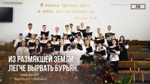 Хор - "Из размякшей земли легче вырвать бурьян"| Христианские песни