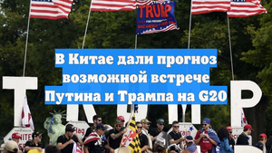 В Китае дали прогноз возможной встрече Путина и Трампа на G20