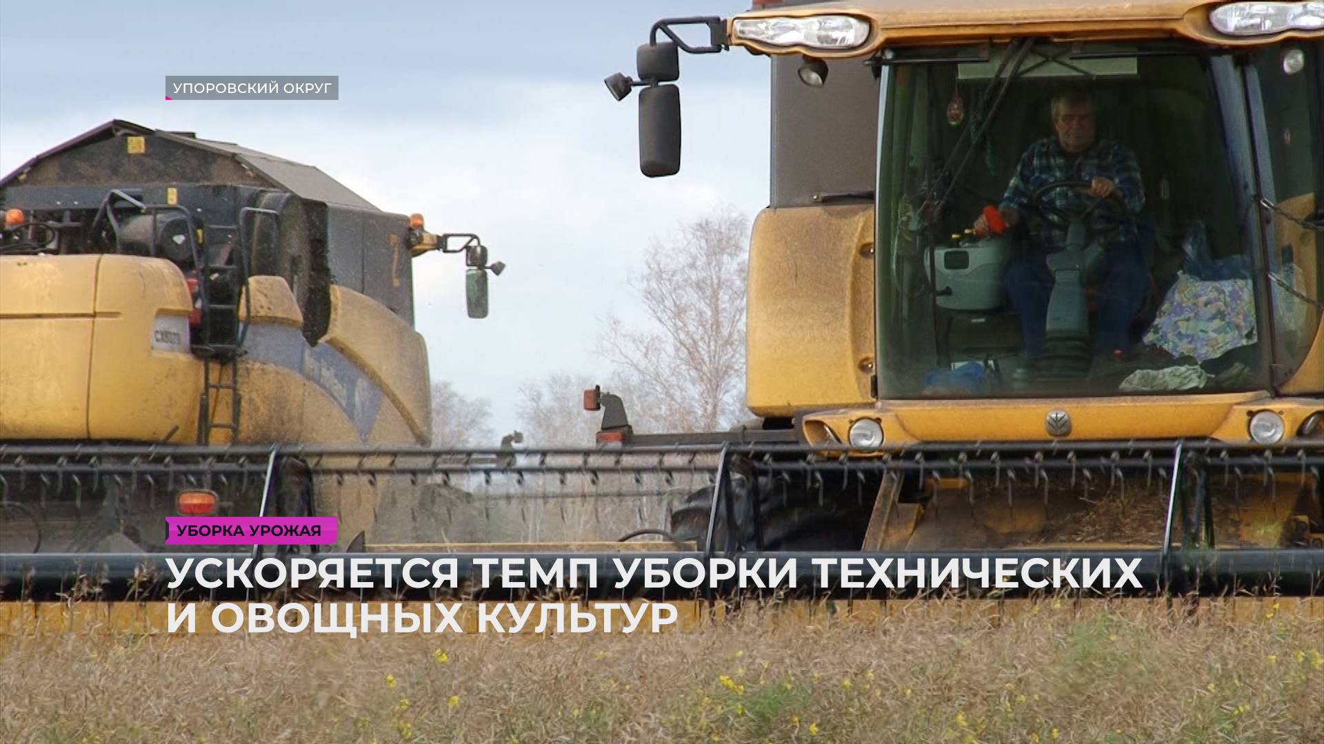 Завершается обмолот зерна, ускоряются темпы уборки технических и овощных культур