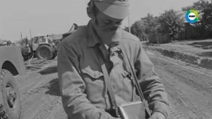 ЧАЭС 35 ГОРЕЧЬ ПОЛЫНИ