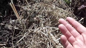 КАК СДЕЛАТЬ ЗЕМЛЮ РЫХЛОЙ?