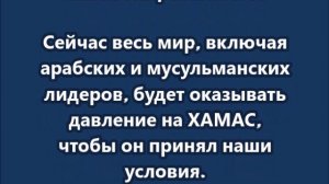 Мы не приняли палестинское государство, и это в плане не упомянуто