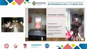 Анчеев А. А. Инновационные технологические решения в ООО «Вердазернопродукт».