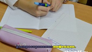 В Курганской области из-за ОРВИ 49 классов отправили на дистант