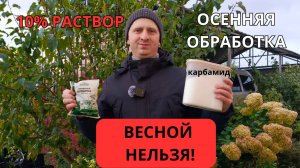 Секрет здорового сада: когда и как правильно опрыскивать деревья карбамидом (10%-ным раствором)