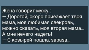 Мужик Пошел на Нудистский Пляж! Сборник Свежих Анекдотов! Юмор