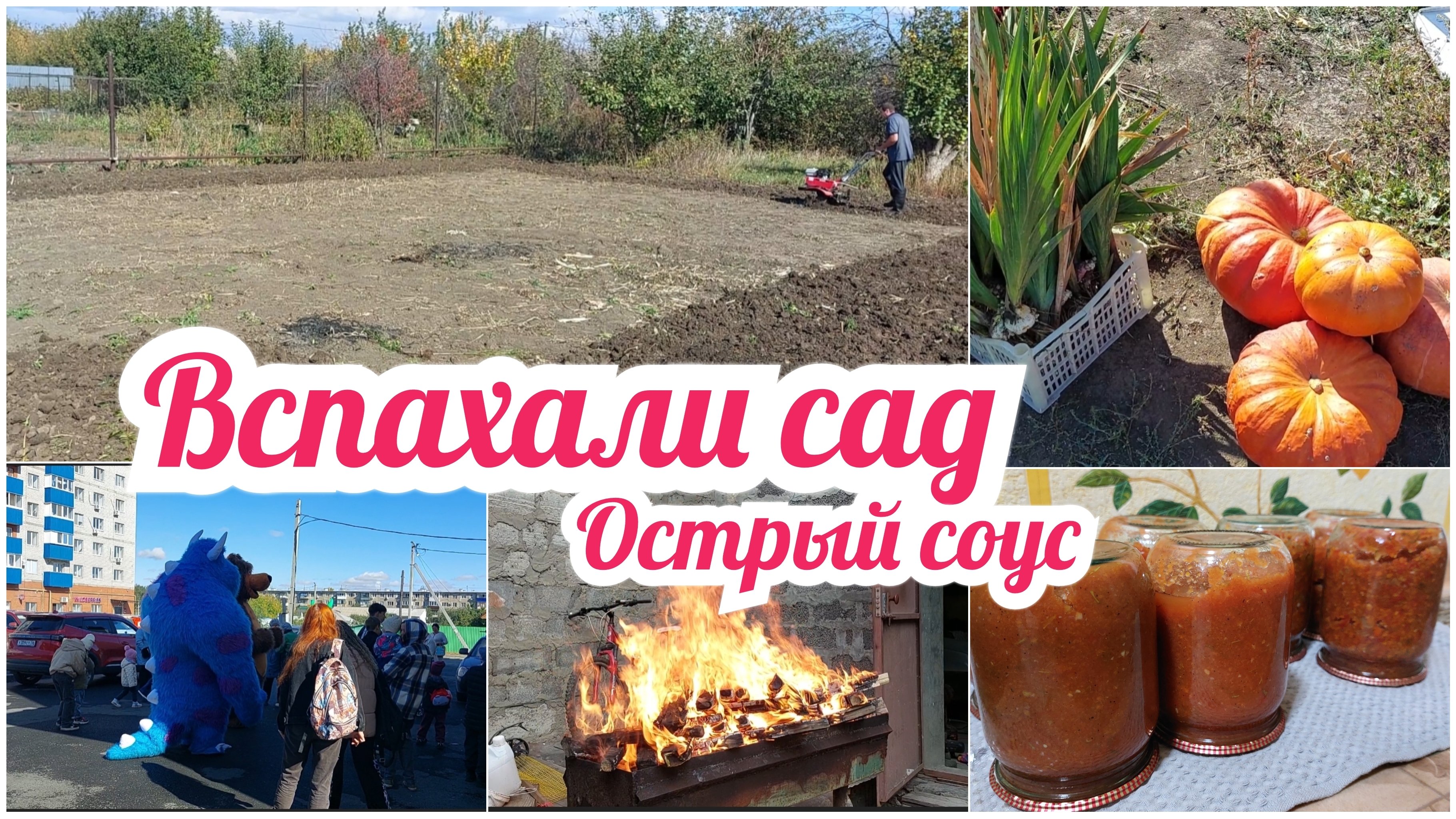 ГОТОВИМ УЧАСТОК НА ДАЧЕ К ЗИМЕ 🔥 СОБРАЛА ТЫКВЫ И ГЛАДИОЛУСЫ || ГОТОВЛЮ СВОЙ СОУС ОСТРЫЙ