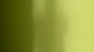 г. Ставрополь