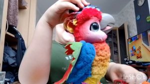 Как Дрались машинки драка полез на голове попугая Кеши! Крутые видео для мальчиков