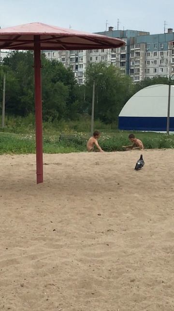 IMG_0116 смотреть онлайн