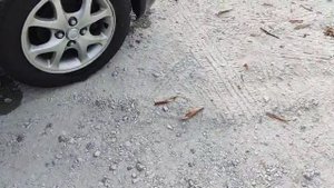 T Vitz SCP13 157 000 Инв.№ 567