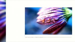 Stive Morgan - Mens Conversation