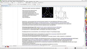 Онкологика - Бактериальные проблемы (01,10,2025)