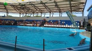 Голубицкое