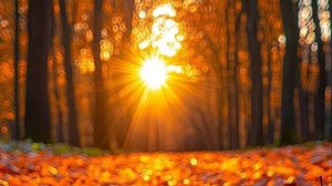 Добрый Вечер - Теплые слова и пожелания 🤗