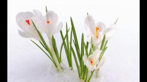 Мегя ты будешь помнить вечно 3 (Suno AI)