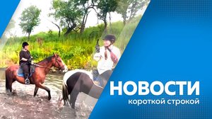Новости короткой строкой 29.09.2025г.