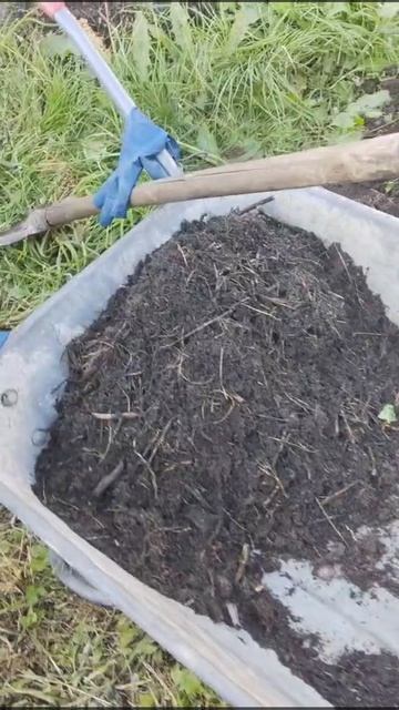 Подготовка огорода к новому сезону (подкормка кустов итп)