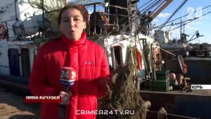 Наука и промысел: какие исследования помогут оценить запасы биоресурсов в Азовском море