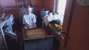 " Лето, ах лето..." Лучше катать, чем таскать.