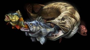 От джига до троллинга один шаг. Супер рыбалка! Джиг# Троллинг#