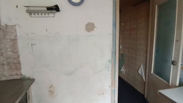 video5395404678206881725