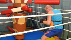 Тренажер Гладиатор