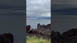 4 день путешествия автостопом с палаткой по Сахалину, Курилам и Камчатке