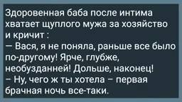 Здоровенная Баба и Щуплый Муж! Первая Брачная Ночь! Подборка Веселых Анекдотов