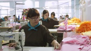 ООО "КОЛОРИТ"— ПРОИЗВОДСТВО И ОПТОВАЯ ПРОДАЖА ИЗДЕЛИЙ С ПВХ ПОКРЫТИЕМ