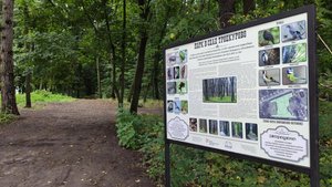 Троекуровский парк 2020 год