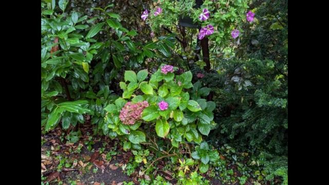 Прощание с летом — сделано в Clipchamp