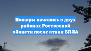 Пожары начались в двух районах Ростовской области после атаки БПЛА