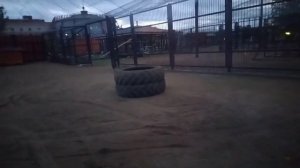 CCHO9825 вольер новый съемка 28.09.2025 самый дальний вольер, в котором шины для Шархана