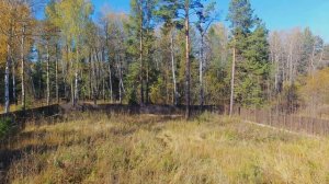 Оленьи Ручьи. Дача