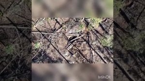 Расчёты Отряда "Анвар" продвигаются по буферной зоне Сумской области и зачищают Черниговскую область