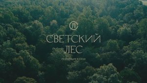 Светский лес