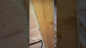 1000035816.mp4 (Собака наблюдает за устройством заземления газового оборудования в доме А-фрейм)