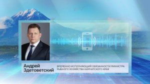 ОКОЛО 250 ТЫСЯЧ ТОНН УЛОВА ПРИНЕСЛА ПУТИНА-2025 РЫБАКАМ КАМЧАТКИ • НОВОСТИ КАМЧАТКИ