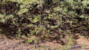 copy_B840B445-A0F2-4A7E-85C3-DF039487AFCE