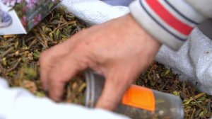 Евгения Гергерт | ТОЧКА.РФ – КУХНЯ | г.Иркутск