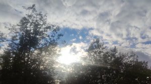 прогноз от 29 сентября