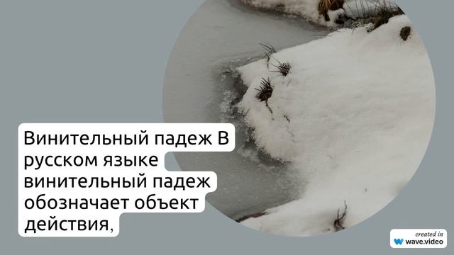 Фамилия Андрев: происхождение, значение и склонение – история родового имени
