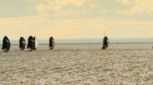 Загадочное явление 1:50 - Парк 300 - летия СПб #осень #лето #питер #realestate #природа