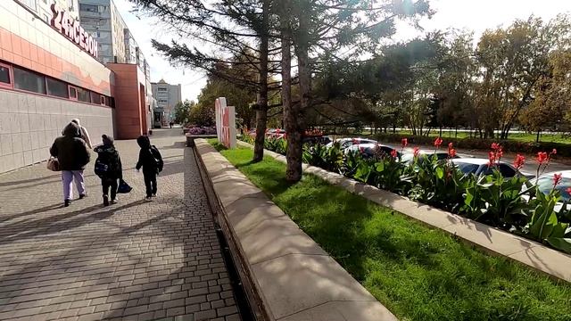 Насколько ядовита клещевина