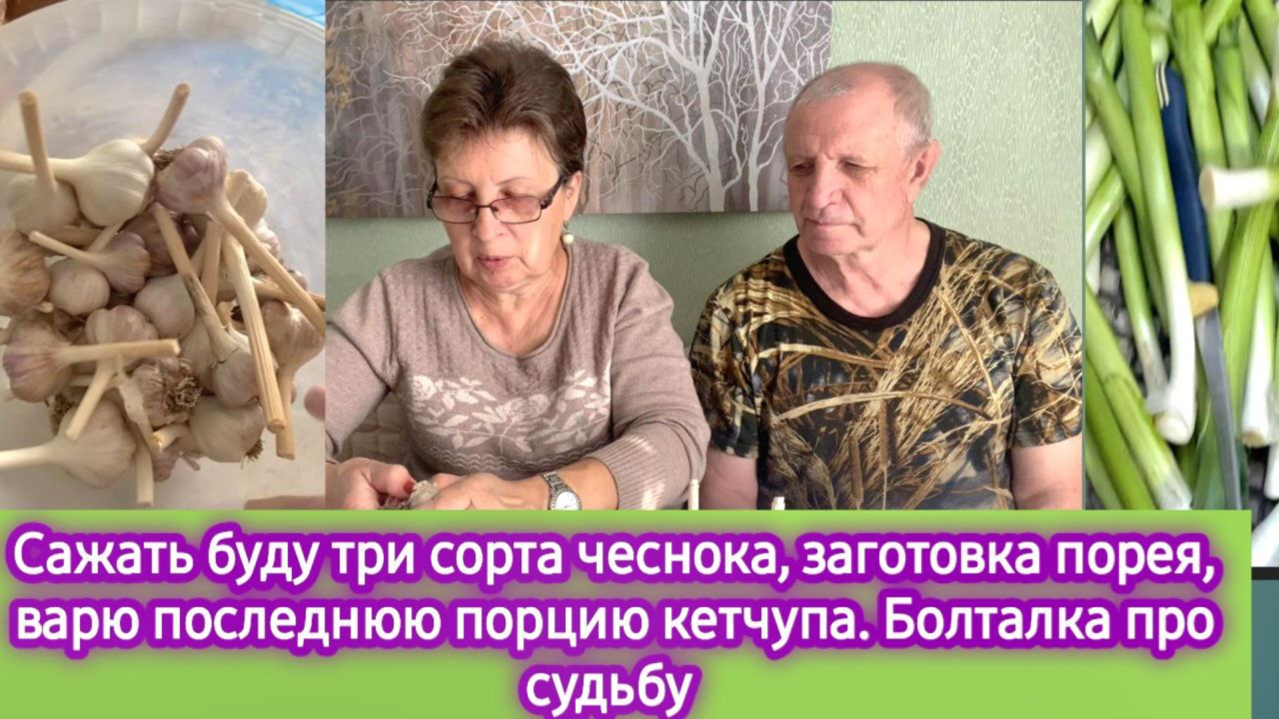 Сажаю три сорта чеснока, заготовка порея, последняя порция кетчупа. Болталка о судьбе