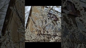 Светлана Стрелкова | ТОЧКА.РФ – МЕСТО | г. Саратов