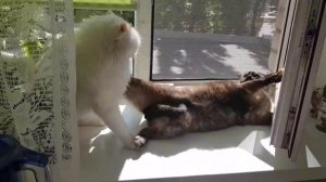 Леся и Сёма - Новая техника ведения боя